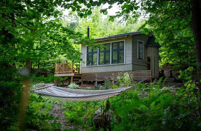 A wooden cabin with large windows among tall trees, a hammock strung across the clearing in front